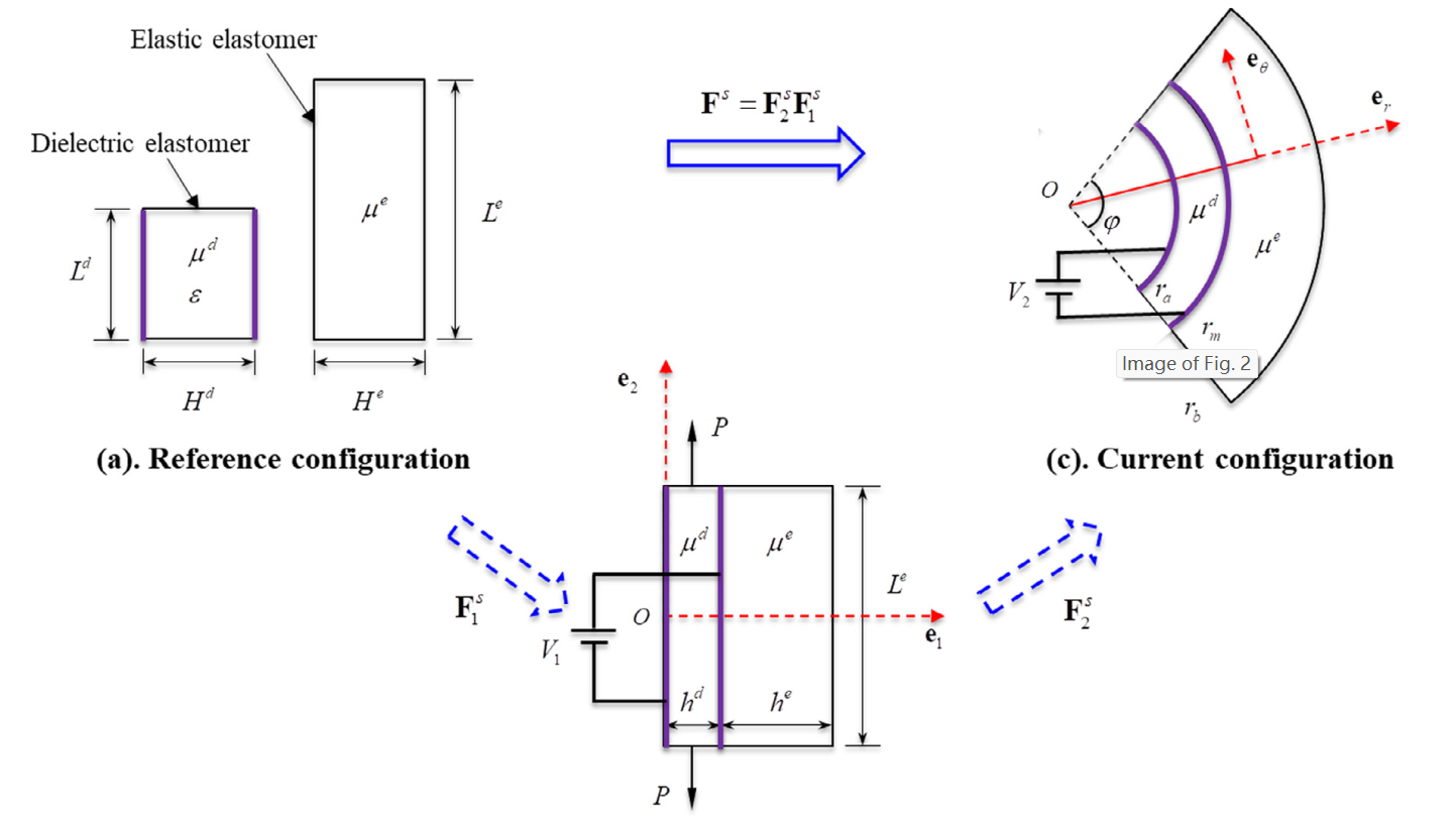 Reference and current configurations of a bilayer dielectric elastomer under finite bending